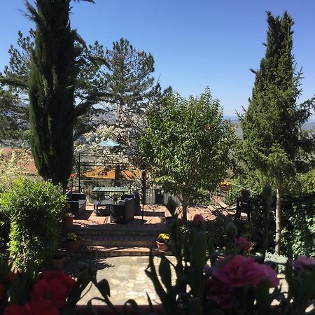 La Piazzetta Bed and Breakfast Greve in Chianti Buitenkant foto